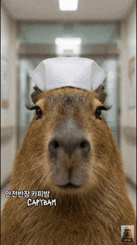 Makeup What GIF