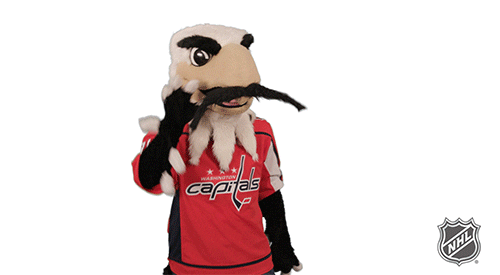 Ice Hockey Reaction GIF by NHL