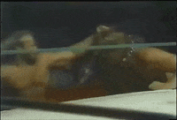 kevin sullivan wrestling GIF