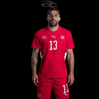 Fifa World Cup Switzerland GIF by Respective