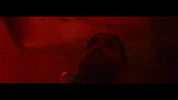 michael-blume in between michael blume GIF