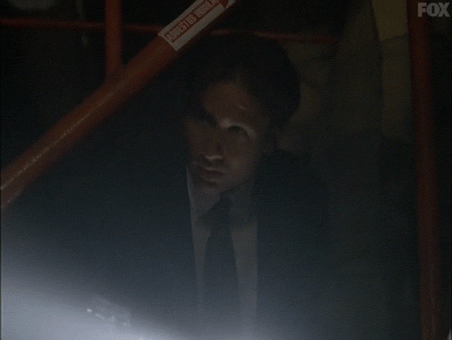 x files GIF by The X-Files