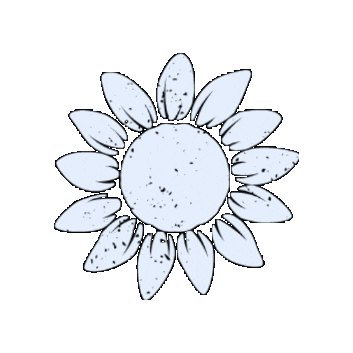 agrokontakt giphygifmaker sunflower seed seeds Sticker