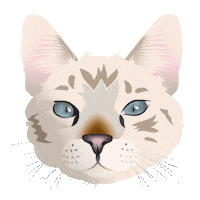 Winking Cat Sticker