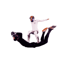 Fun Flying Sticker by Flyspot - make it happen!