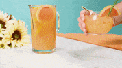happy hour cocktail GIF by evite