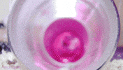 hamster tunnel GIF