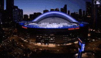 Canadian Baseball GIF by Toronto Blue Jays