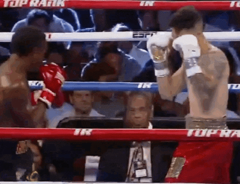 toprank giphyupload fight boxing fighting GIF