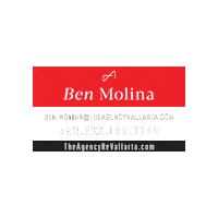 Benpvr Sticker by The Agency PDM-PVR