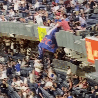 Yankee Fans Cheer as Men Waving 'Trump Won' Banner Removed from Stadium