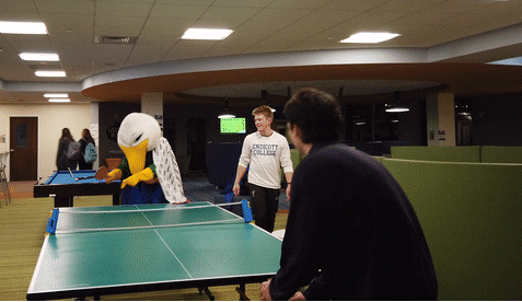 Ping Pong Gulls GIF by Endicott College