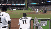 mia GIF by MLB