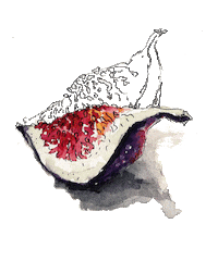 Carnivalofsadness paint watercolor fig karinakuts Sticker