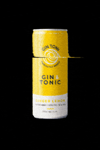 Low Calorie Cheers GIF by Gin Toni