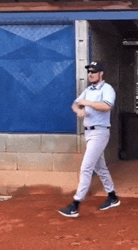 Umpire GIF