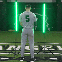 Parkside Baseball GIF by Parkside Athletics