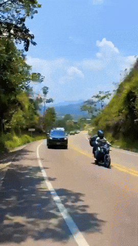 tuyomotor giphyupload GIF