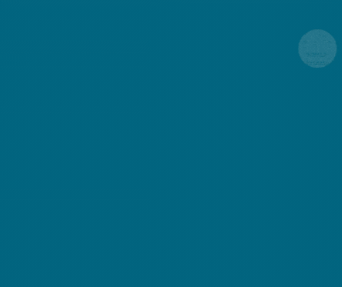 BubblePrinzip-Katrin giphyupload planung planen pareto GIF