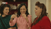 Seksenler Yıldız GIF by TRT