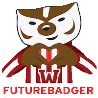 College Badgers Sticker by uwadmissions