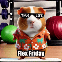 Fitness Workout GIF by Guinea Gambino