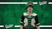 Emueagles Emubaseball GIF by EMU Athletics