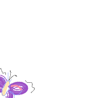 Fun Butterfly Sticker