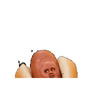 Hot Dog Sticker by Dropout.tv