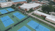 Beaumont GIF by Lamar University