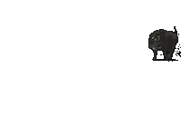 Feral Hog Running Sticker by Leroy Patterson