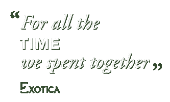 exoticaflowers love valentine together girlfriend Sticker