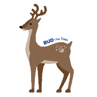 School Spirit College Sticker by UWF