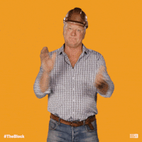 Channel 9 Clap GIF by The Block