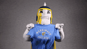 Mascot Mack GIF by Merrimack College