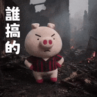 Who Did This GIF