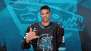 Hang Loose San Jose GIF by San Jose Barracuda