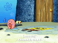 season 8 GIF by SpongeBob SquarePants