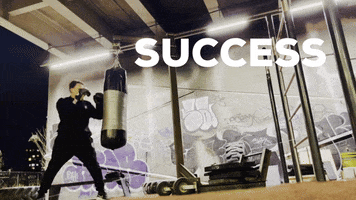 The Best Success GIF by Casol