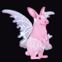 ThatOtherZoo skz changbin skzoo dwaekki GIF