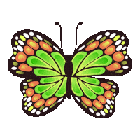 Instagram Butterfly Sticker