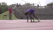 Track And Field Gold GIF by LSU Tigers