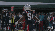 Happy Football GIF by New England Patriots