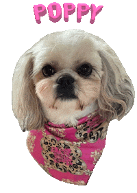 Dog Sticker