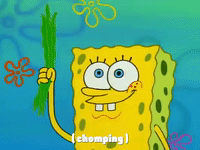 season 1 nature's pants GIF by SpongeBob SquarePants