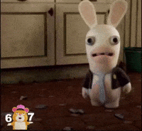 ELCANARDO crazy lapin cretin GIF
