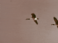 GIF by UnionDocs