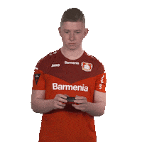 Fifa Wtf Sticker by Bundesliga