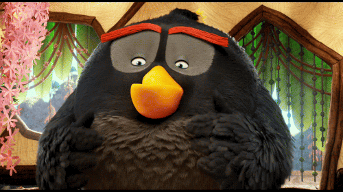 bomb temper GIF by Angry Birds
