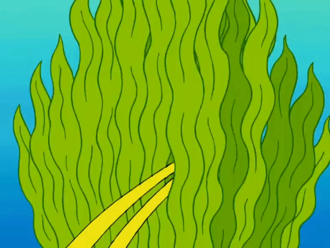 season 7 episode 24 GIF by SpongeBob SquarePants